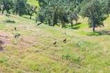 14493 Aloha Road - Photo 108