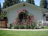 37151 Serpentine Lane - Photo 10