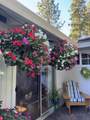 37151 Serpentine Lane - Photo 42