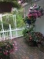 37151 Serpentine Lane - Photo 43