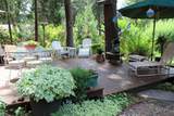 37151 Serpentine Lane - Photo 63