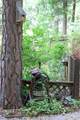 37151 Serpentine Lane - Photo 65