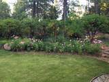 37151 Serpentine Lane - Photo 70