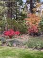 37151 Serpentine Lane - Photo 78