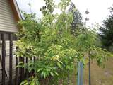 18850 Herman Way - Photo 10