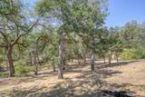 274 Franciscan Trail - Photo 37