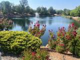274 Franciscan Trail - Photo 42