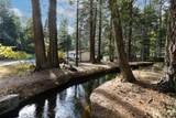 7528 Leaning Cedar Lane - Photo 1