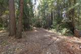 7528 Leaning Cedar Lane - Photo 20