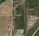  Black Ranch Road - Photo 2