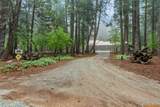 8275 Sky Tree Lane - Photo 49