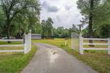 21126 Scheer Drive - Photo 43