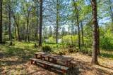 29822 State Highway 44 - Photo 41