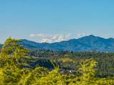 3197 Pinot Path - Photo 11