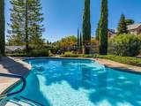 3197 Pinot Path - Photo 4