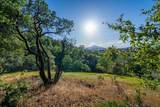 3197 Pinot Path - Photo 56