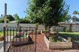 1613 Galaxy Way - Photo 43