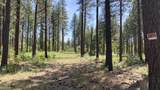 Lot 24 Big Lake Road - Photo 1