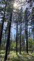 Lot 24 Big Lake Road - Photo 2