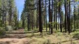 Lot 24 Big Lake Road - Photo 4