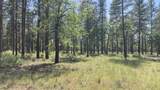 Lot 24 Big Lake Road - Photo 7