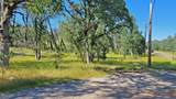 13342 Old Oregon Trail - Photo 10
