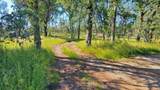 13342 Old Oregon Trail - Photo 18
