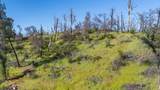 13342 Old Oregon Trail - Photo 20