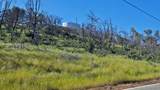 13342 Old Oregon Trail - Photo 23