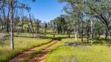 13342 Old Oregon Trail - Photo 8