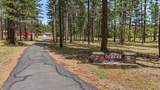 22657 Cassel Road - Photo 4
