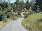 15934 Cindee - Photo 2
