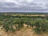  Paynes Creek Road - Photo 15