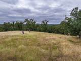  Paynes Creek Road - Photo 17