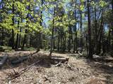 Lot 4 Ritts Mill Road - Photo 2