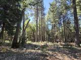 Lot 4 Ritts Mill Road - Photo 3