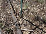 Lot 4 Ritts Mill Road - Photo 8