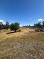 16177 Lower Springs Road - Photo 10