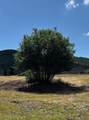 16177 Lower Springs Road - Photo 4