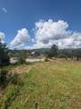 16177 Lower Springs Road - Photo 6