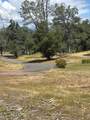 16177 Lower Springs Road - Photo 9