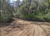 0000 Quail Run Road - Photo 7