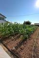 17962 Coyote Lane - Photo 99