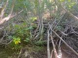 0000 Logging Rd - Photo 10