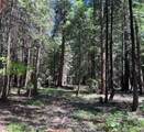 0000 Logging Rd - Photo 12
