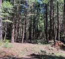 0000 Logging Rd - Photo 14