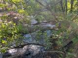 0000 Logging Rd - Photo 2