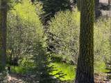 0000 Logging Rd - Photo 20