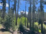 0000 Logging Rd - Photo 21