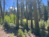 0000 Logging Rd - Photo 22